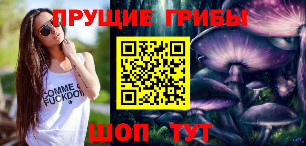 Тихвин  Псилоцибиновые грибы мухоморы  Вход с VPN 