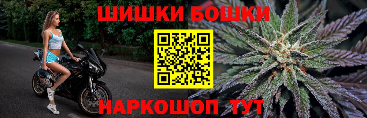 Конопля сатива Тихвин